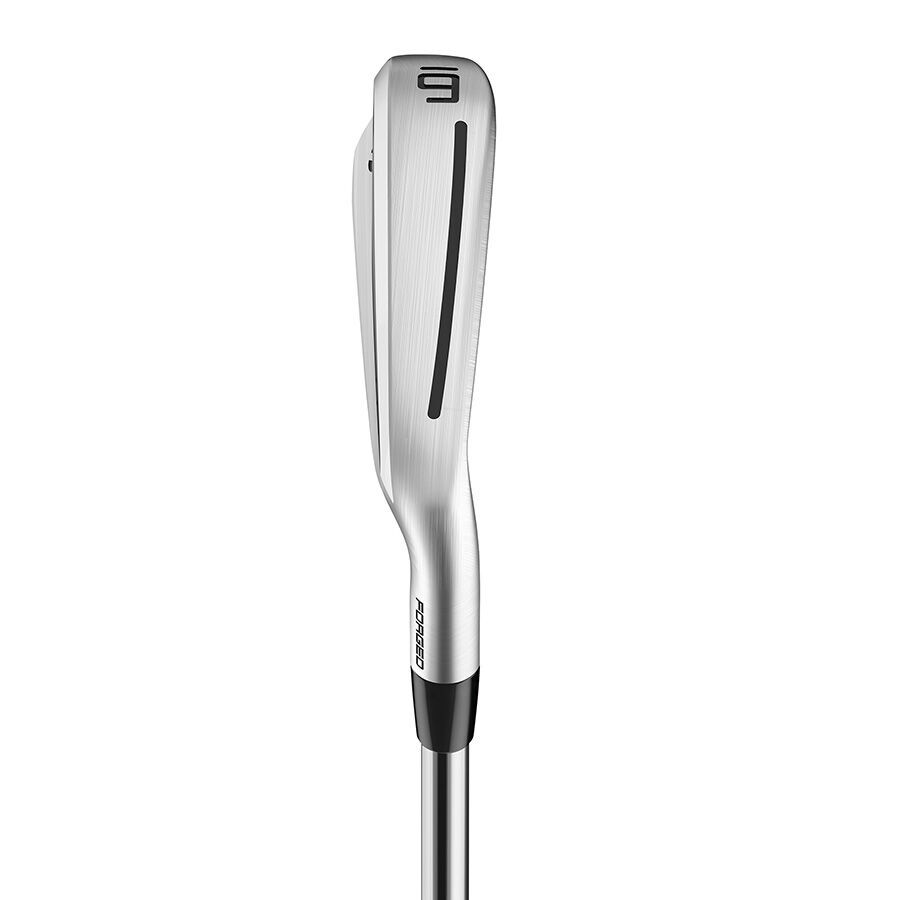 TaylorMade 2020 P770 Iron Set (D-62439318344) | 2nd Swing Golf