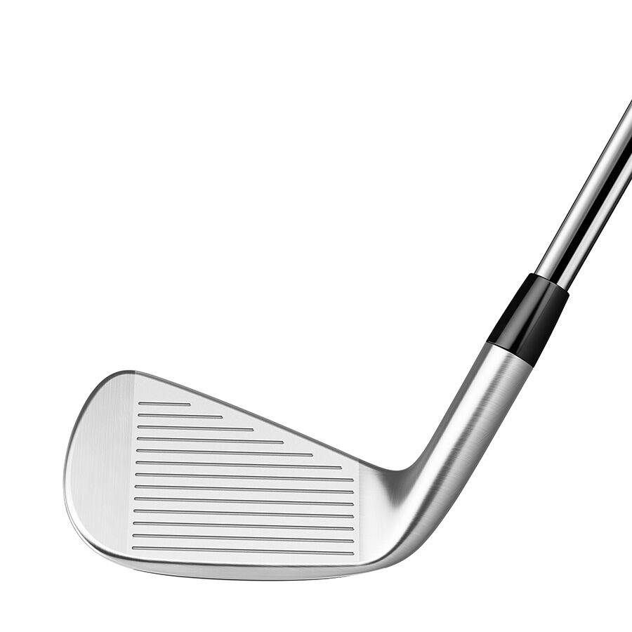 TaylorMade p790 2019 DG S200 シャフトX100付き Golf Iron Set TaylorMade P790 2019 Dynamic Gold 120 VSS S200