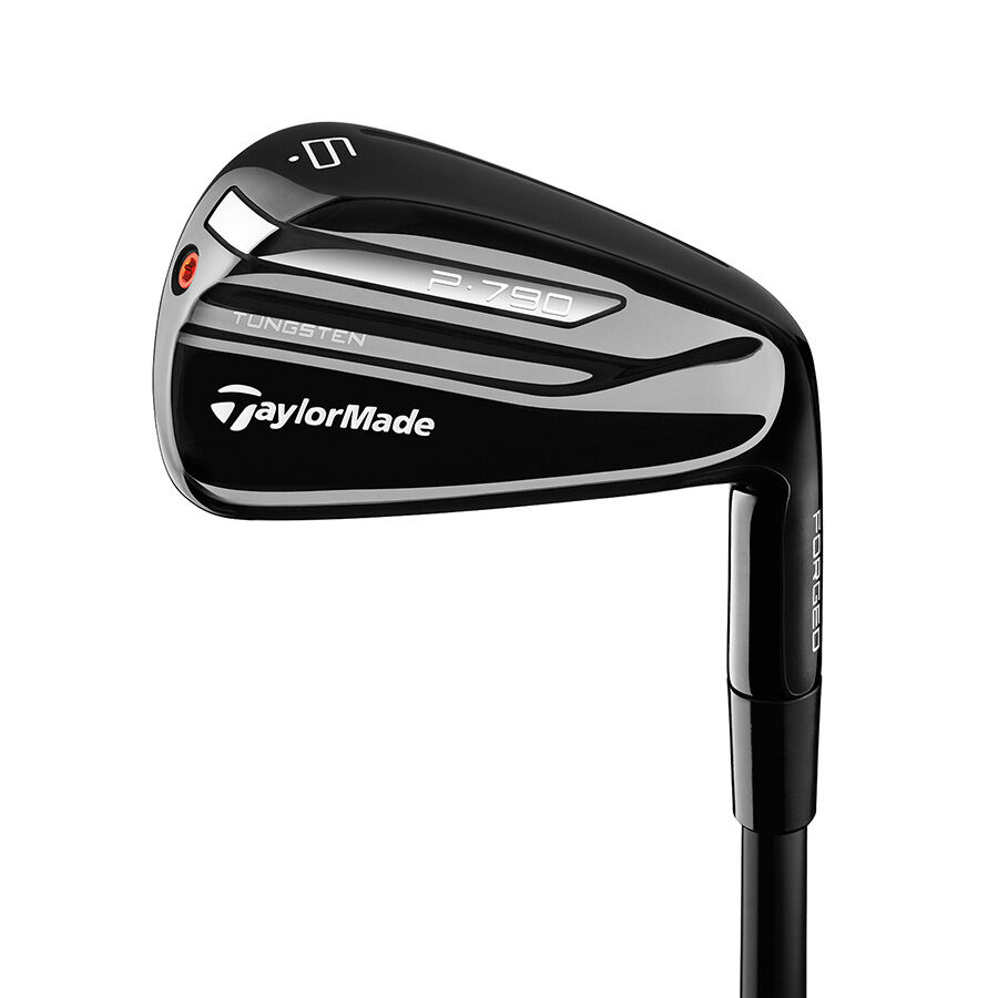 【タイミー】TaylorMade P-790 2017 アイアンセット7本 2017 P790 Black Irons | TaylorMade