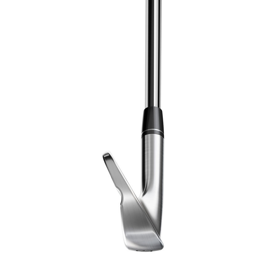 テーラーメイド　p730 アイアン　ヘッドのみ P730 Irons