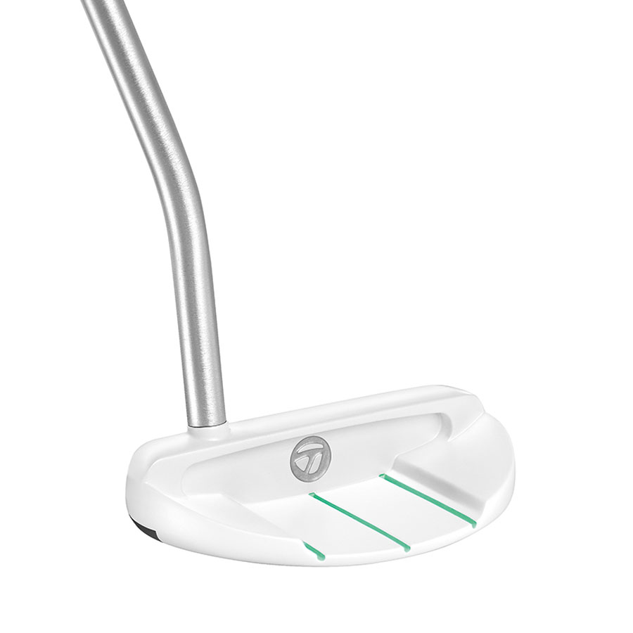 tiger woods ping anser 2