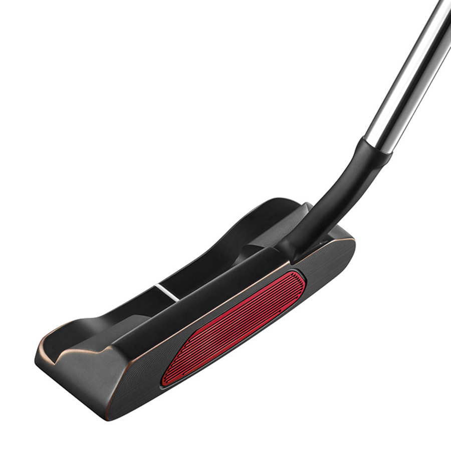 JIC40_zoom_D6.jpg